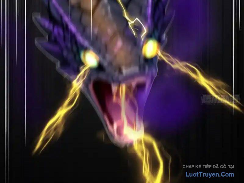 Sau Khi Đầu Thai, Ta Được Kẻ Thù Khắc Thành Vô Địch Chapter 41 - 81