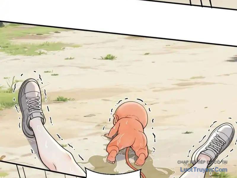 Sau Khi Đầu Thai, Ta Được Kẻ Thù Khắc Thành Vô Địch Chapter 42 - 19