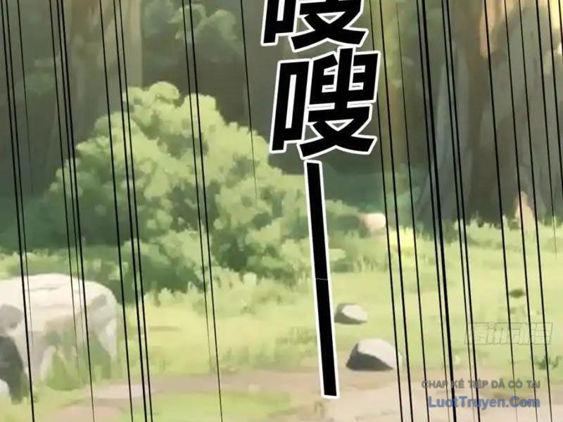 Sau Khi Đầu Thai, Ta Được Kẻ Thù Khắc Thành Vô Địch Chapter 42 - 64