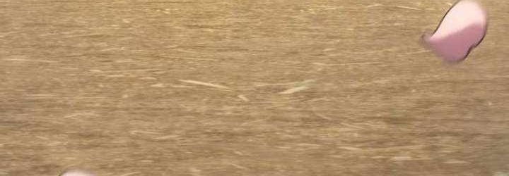 Cựu Chiến Binh Tối Thượng Chapter 29 - 421