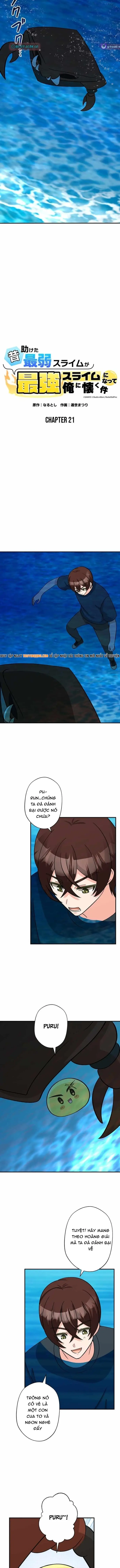 Con Slime Yếu Nhất Ta Từng Cứu Giờ Đã Trở Thành Huyền Thoại! Chapter 21 - 6