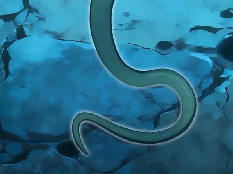 Thái Cổ Thập Hung: Người khác ngự thú ta ngự thú nương Chapter 104 - 78