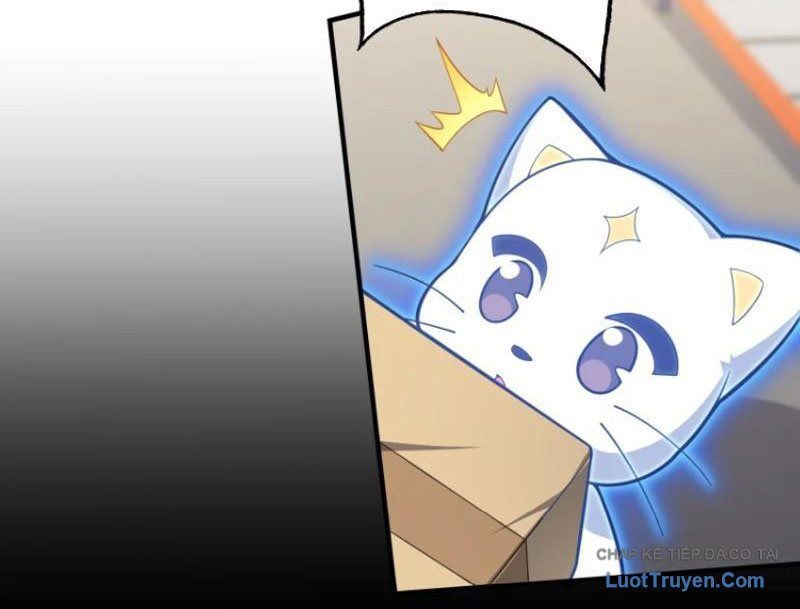 Tránh Ra, Ta Là Ma Pháp Thiếu Nữ! Chapter 24 - 17