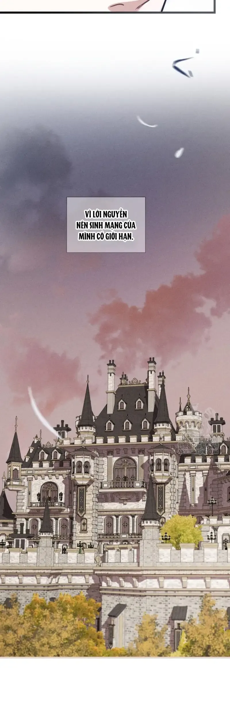 Bệ Hạ, Xin Hãy Quên Tôi Đi Chapter 70 - 16