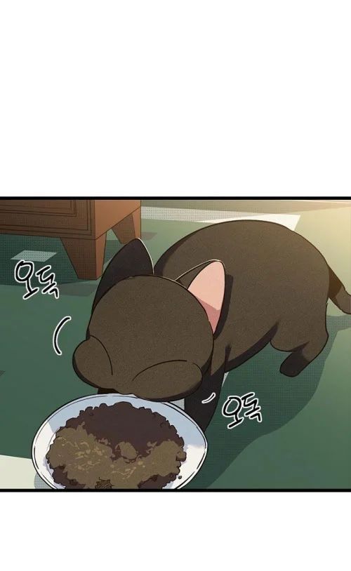 Thiếu Nữ Hoàng Đạo Chapter 13 - 65