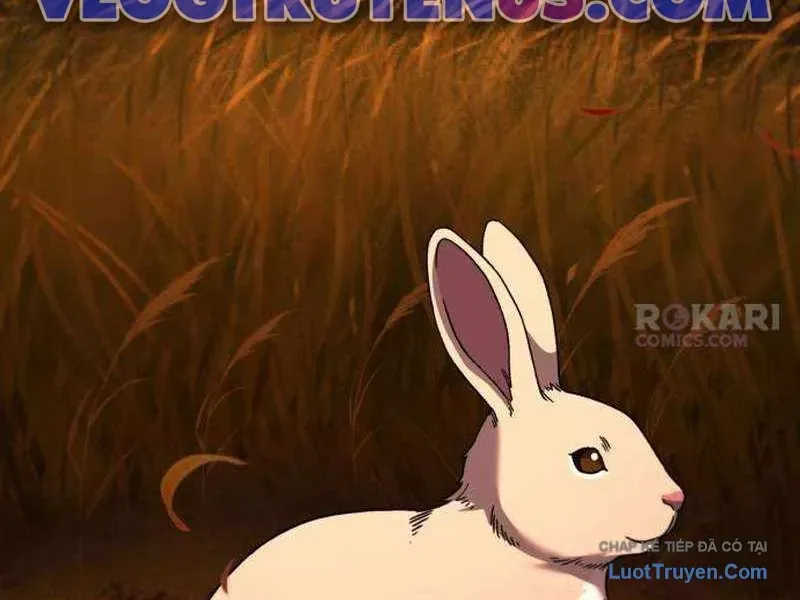 Đường Chuyền Đặc Biệt Của Tiền Vệ Thiên Tài Chapter 46 - 14