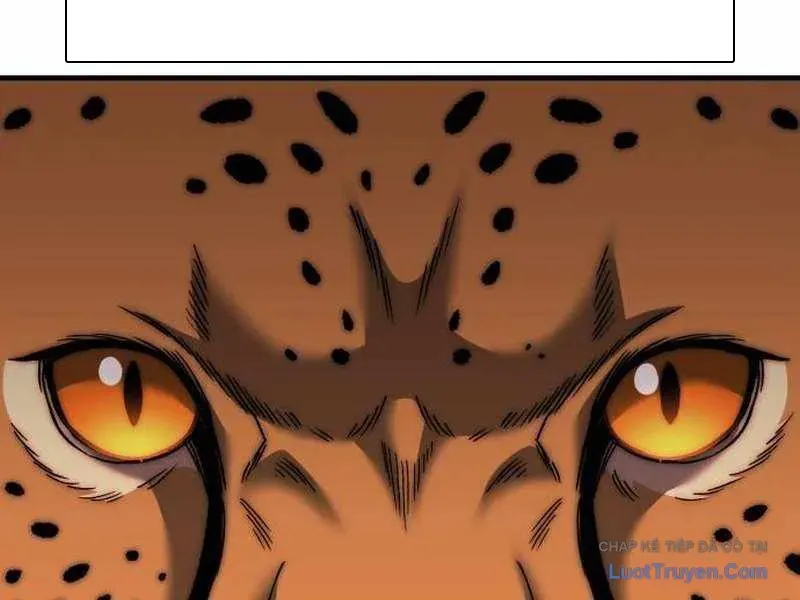 Đường Chuyền Đặc Biệt Của Tiền Vệ Thiên Tài Chapter 46 - 18