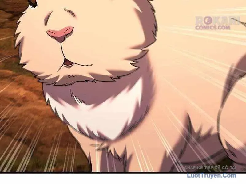 Đường Chuyền Đặc Biệt Của Tiền Vệ Thiên Tài Chapter 46 - 22