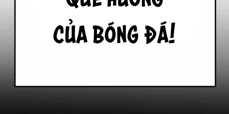 Đường Chuyền Đặc Biệt Của Tiền Vệ Thiên Tài Chapter 47 - 407