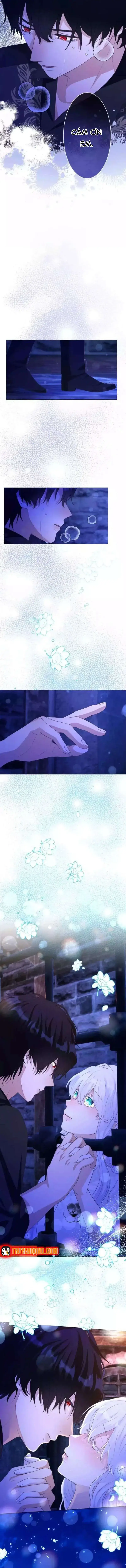 Thánh Nữ Mong Ước Cái Chết Với Hoàng Tử Bị Quyền Rủa Chapter 37 - 17