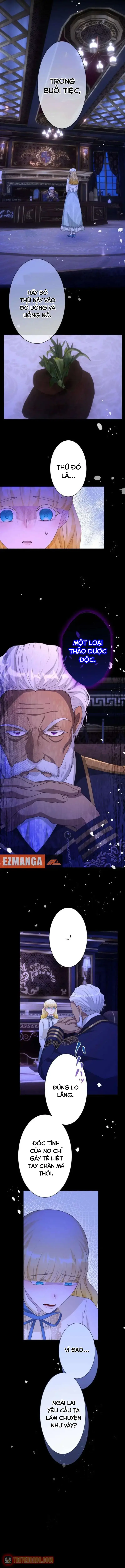 Thánh Nữ Mong Ước Cái Chết Với Hoàng Tử Bị Quyền Rủa Chapter 39 - 7