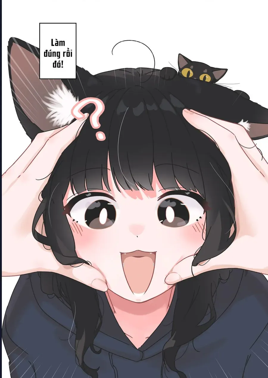 Câu Chuyện Về Con Mèo Đen Tự Nhiên Biến Thành Người. Chapter 12 - 2