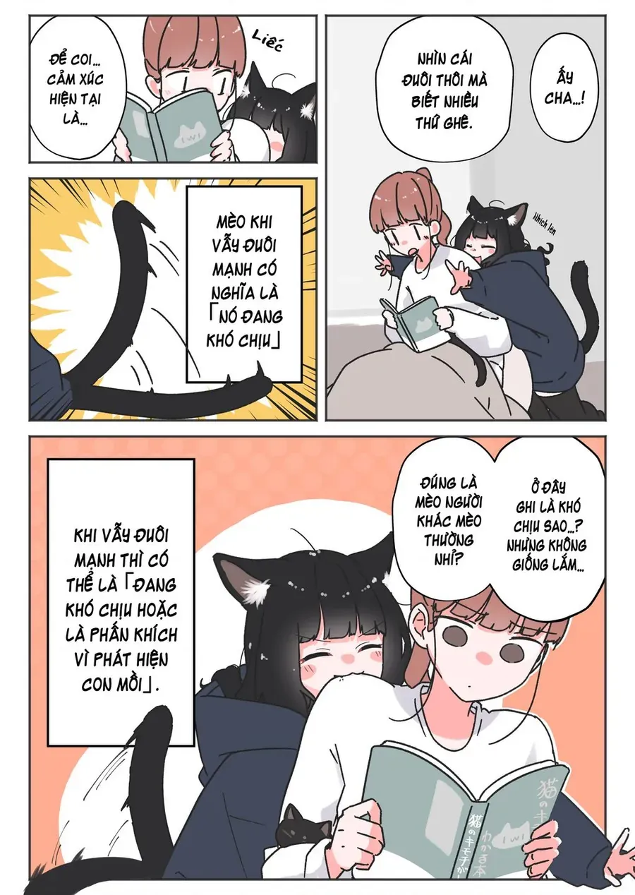 Câu Chuyện Về Con Mèo Đen Tự Nhiên Biến Thành Người. Chapter 16 - 2