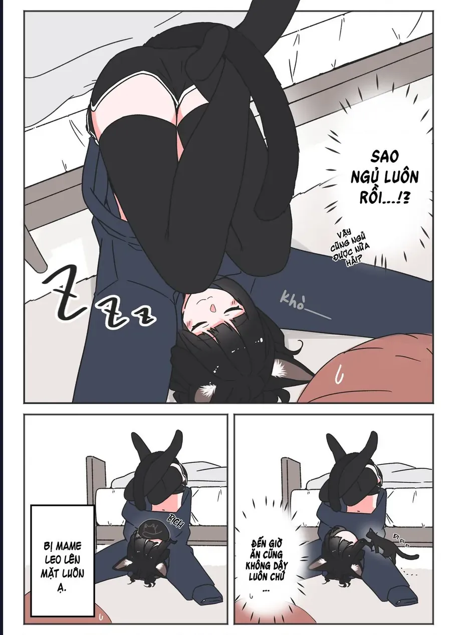 Câu Chuyện Về Con Mèo Đen Tự Nhiên Biến Thành Người. Chapter 17 - 4