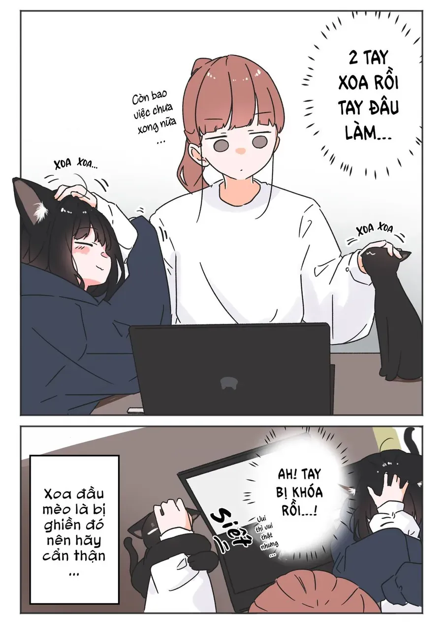 Câu Chuyện Về Con Mèo Đen Tự Nhiên Biến Thành Người. Chapter 20 - 2