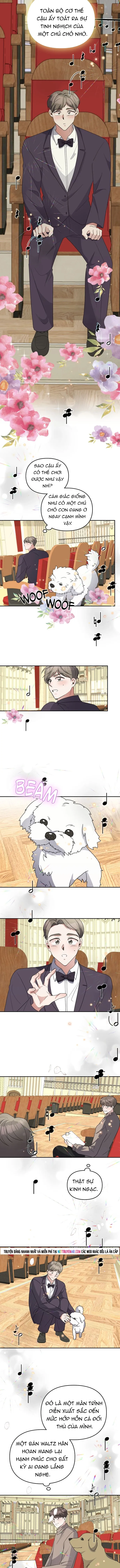 Cuộc Đời Của Thiên Tài Piano Chapter 51 - 8