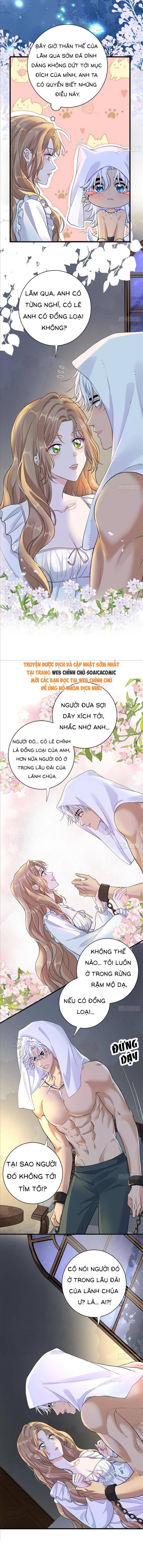 Xuyên Đến Dị Giới Toàn Trai Đẹp Chapter 44 - 4