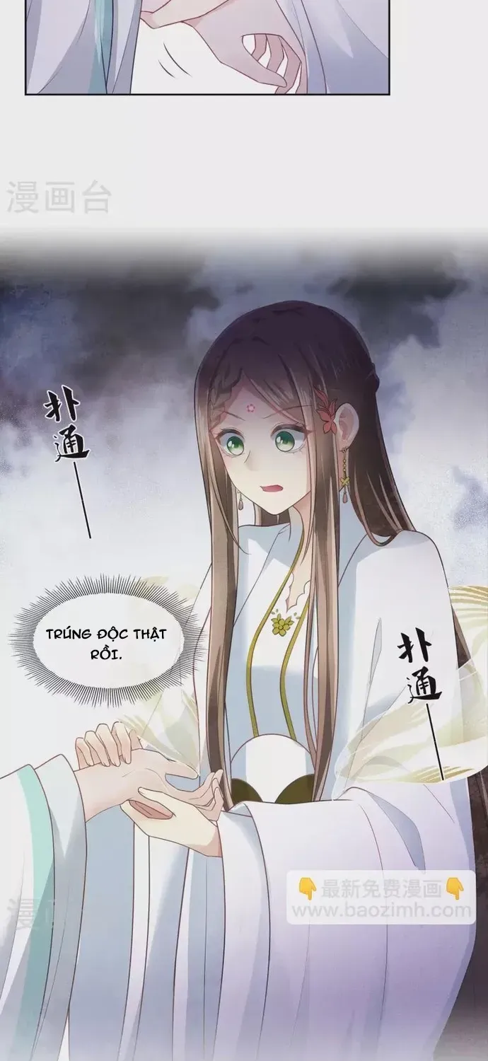 Ta Ở Hoàng Cung Làm Đại Boss Chapter 168 - 5