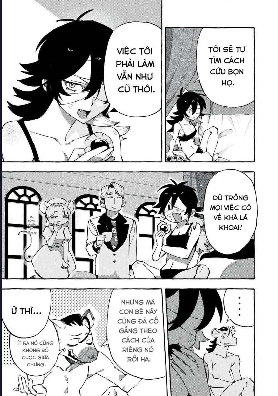 Dogmatic Chapter 11 - 12