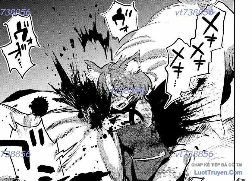 Tử Thần Quân Vương Trở Về Chapter 6.1 - 17