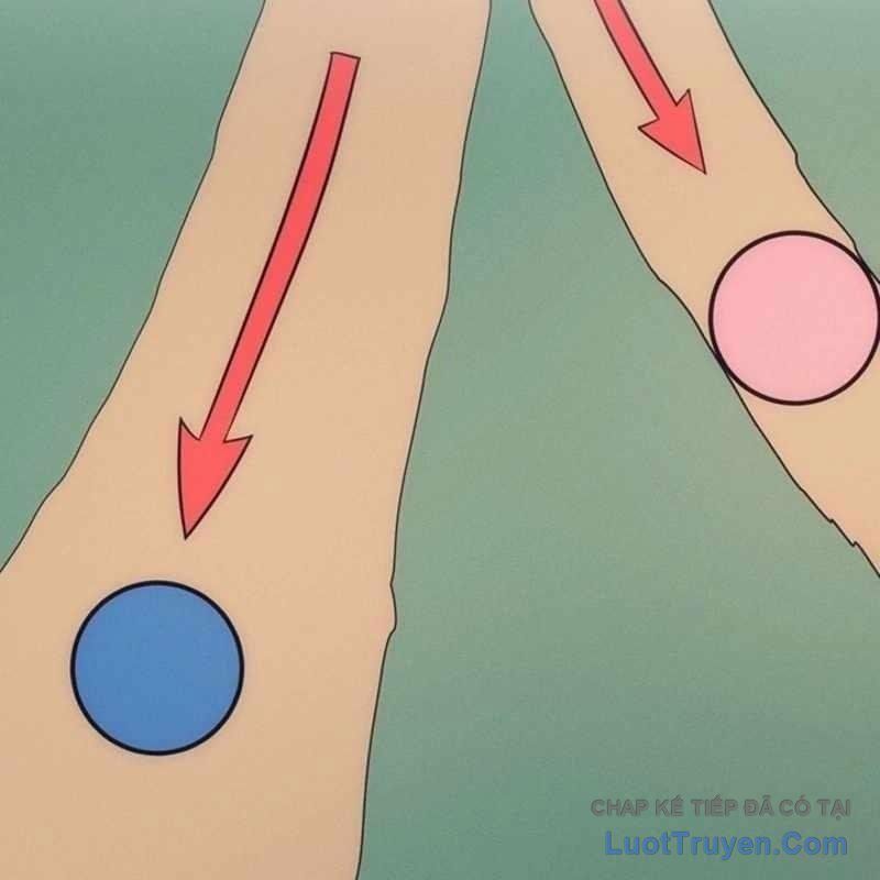 Thủ Hộ Thành Bằng Quái Vật Thuần Hóa Chapter 13 - 181