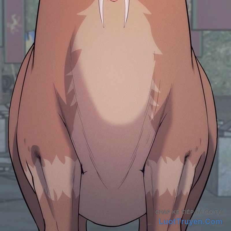 Thủ Hộ Thành Bằng Quái Vật Thuần Hóa Chapter 13 - 75