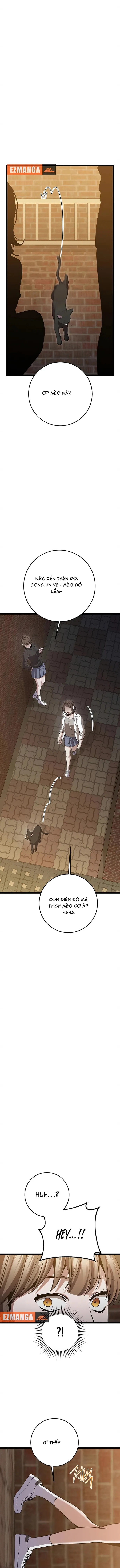 Vương Hậu Đi Học Chapter 70 - 11