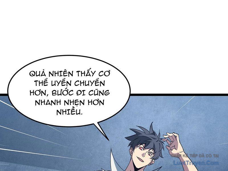 Phổ La Chi Chủ Chapter 14 - 11