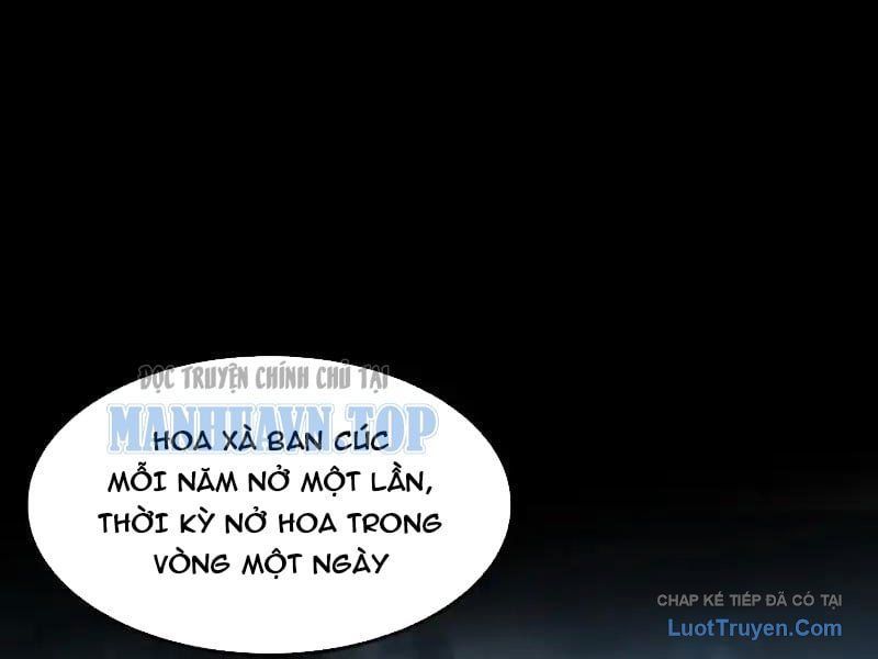 Phổ La Chi Chủ Chapter 18 - 102