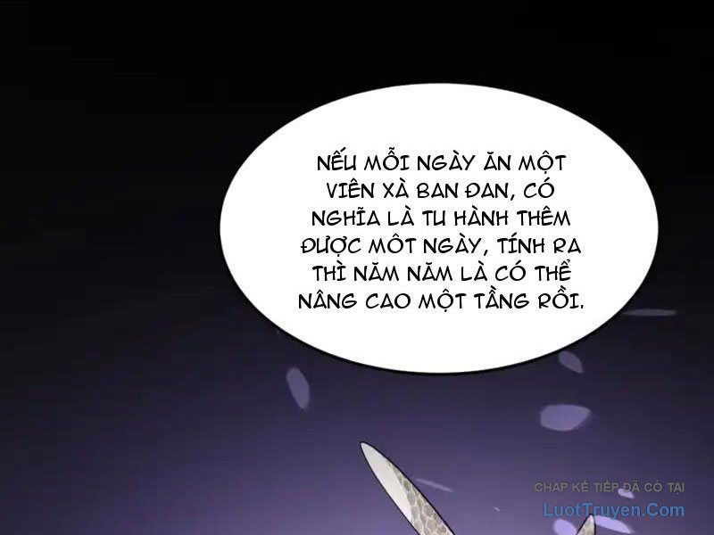 Phổ La Chi Chủ Chapter 18 - 106