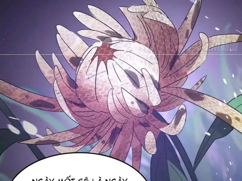 Phổ La Chi Chủ Chapter 18 - 107