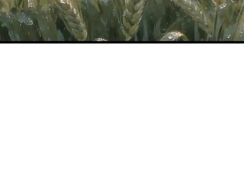 Phổ La Chi Chủ Chapter 18 - 27