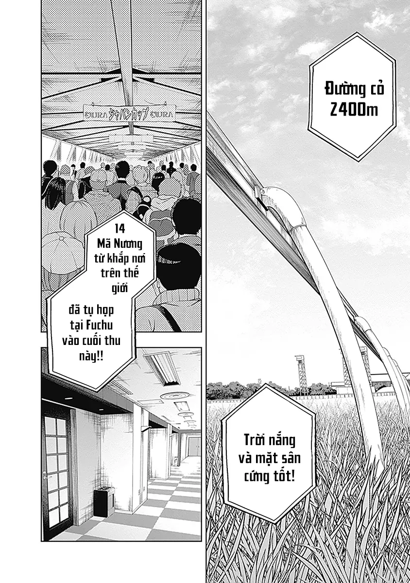 Uma Musume: Cinderella Gray Chapter 51 - 4