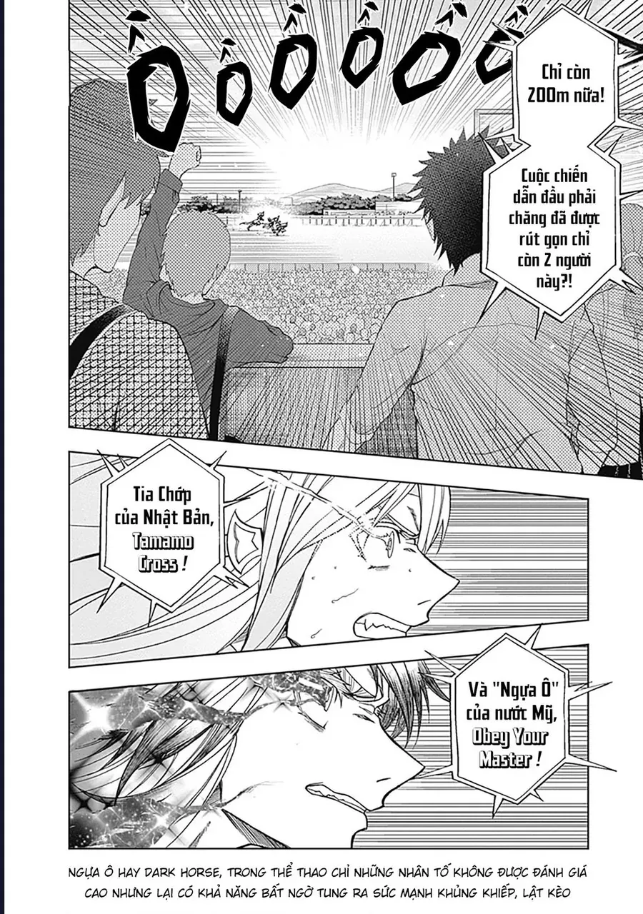 Uma Musume: Cinderella Gray Chapter 56 - 13