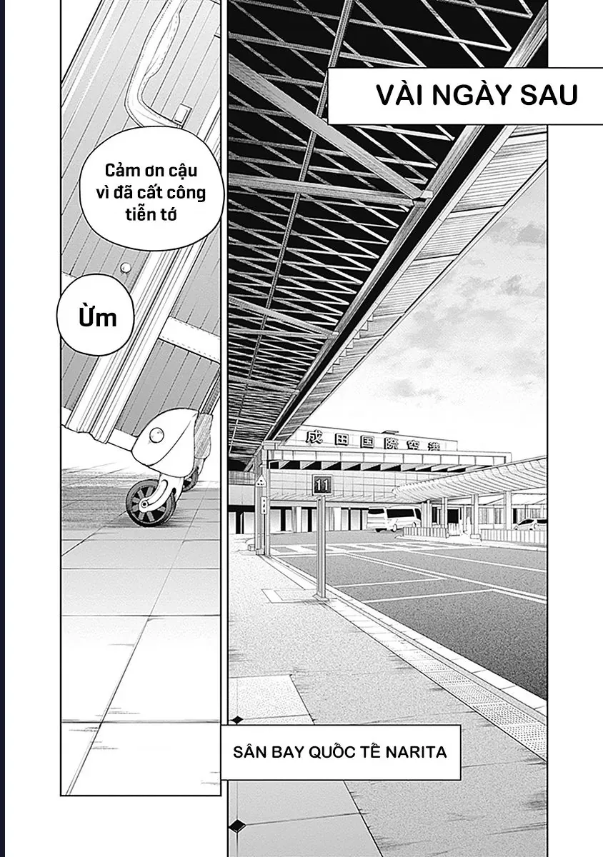 Uma Musume: Cinderella Gray Chapter 59 - 8