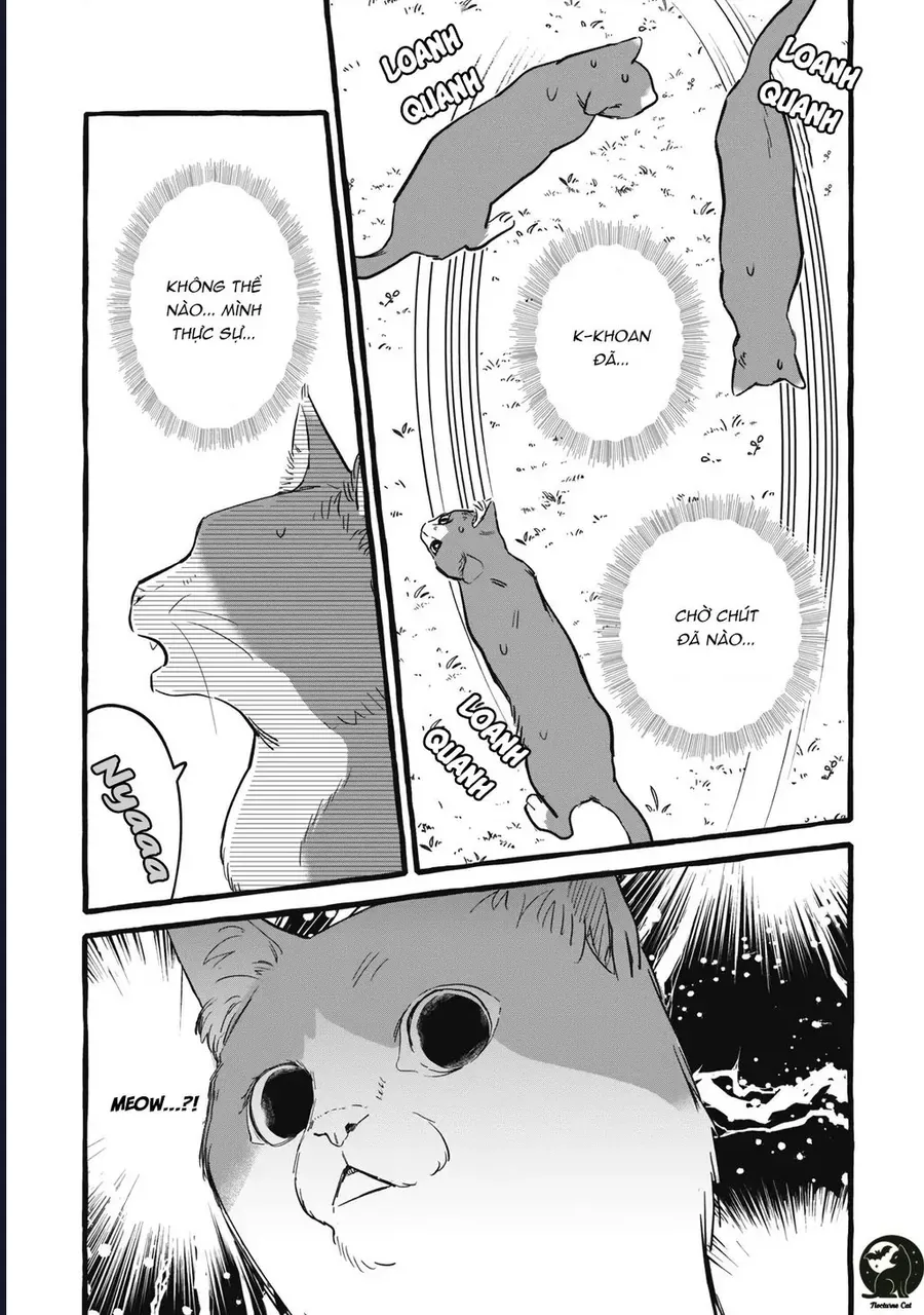 Liệu Có Thể Tìm Được Một Công Việc Lâu Dài Không? Bắt Đầu Cuộc Sống Mới Với Một Vị Pháp Sư Ít Nói Và Khó Gần~ Chapter 10 - 15