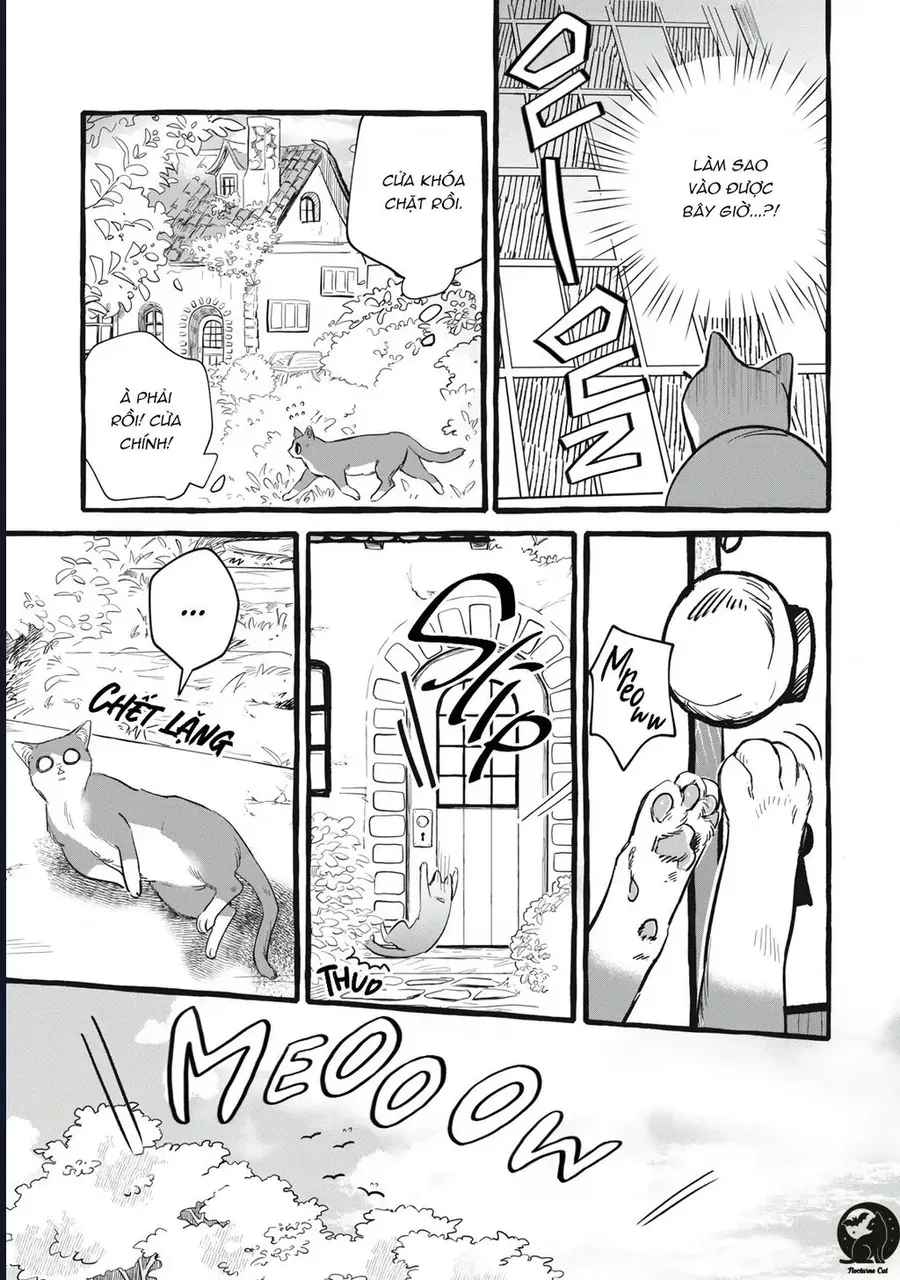 Liệu Có Thể Tìm Được Một Công Việc Lâu Dài Không? Bắt Đầu Cuộc Sống Mới Với Một Vị Pháp Sư Ít Nói Và Khó Gần~ Chapter 10 - 17