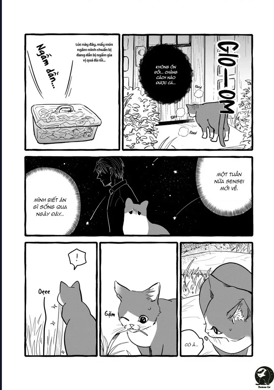 Liệu Có Thể Tìm Được Một Công Việc Lâu Dài Không? Bắt Đầu Cuộc Sống Mới Với Một Vị Pháp Sư Ít Nói Và Khó Gần~ Chapter 10 - 18