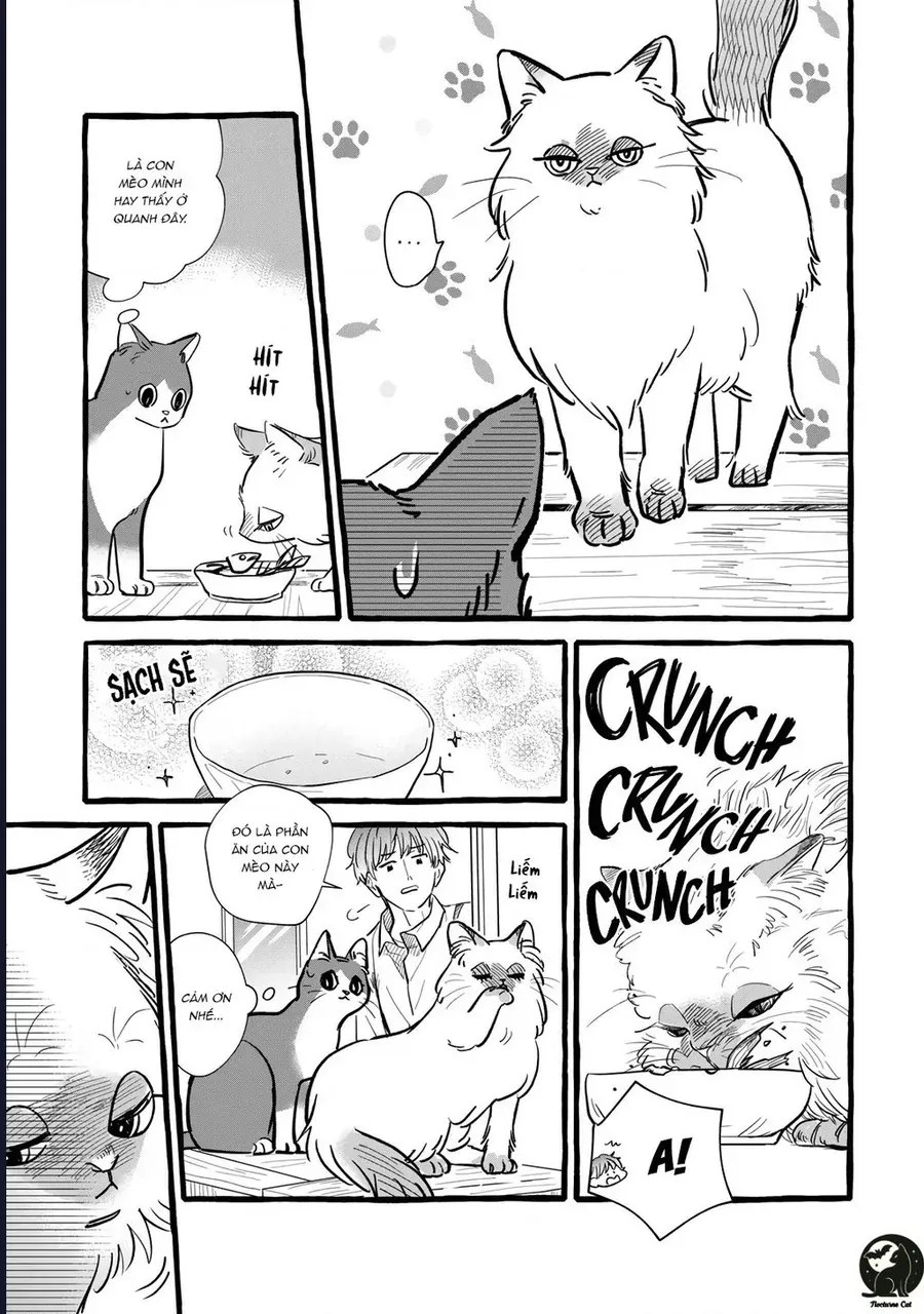 Liệu Có Thể Tìm Được Một Công Việc Lâu Dài Không? Bắt Đầu Cuộc Sống Mới Với Một Vị Pháp Sư Ít Nói Và Khó Gần~ Chapter 10 - 25