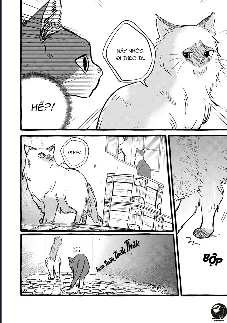 Liệu Có Thể Tìm Được Một Công Việc Lâu Dài Không? Bắt Đầu Cuộc Sống Mới Với Một Vị Pháp Sư Ít Nói Và Khó Gần~ Chapter 10 - 26