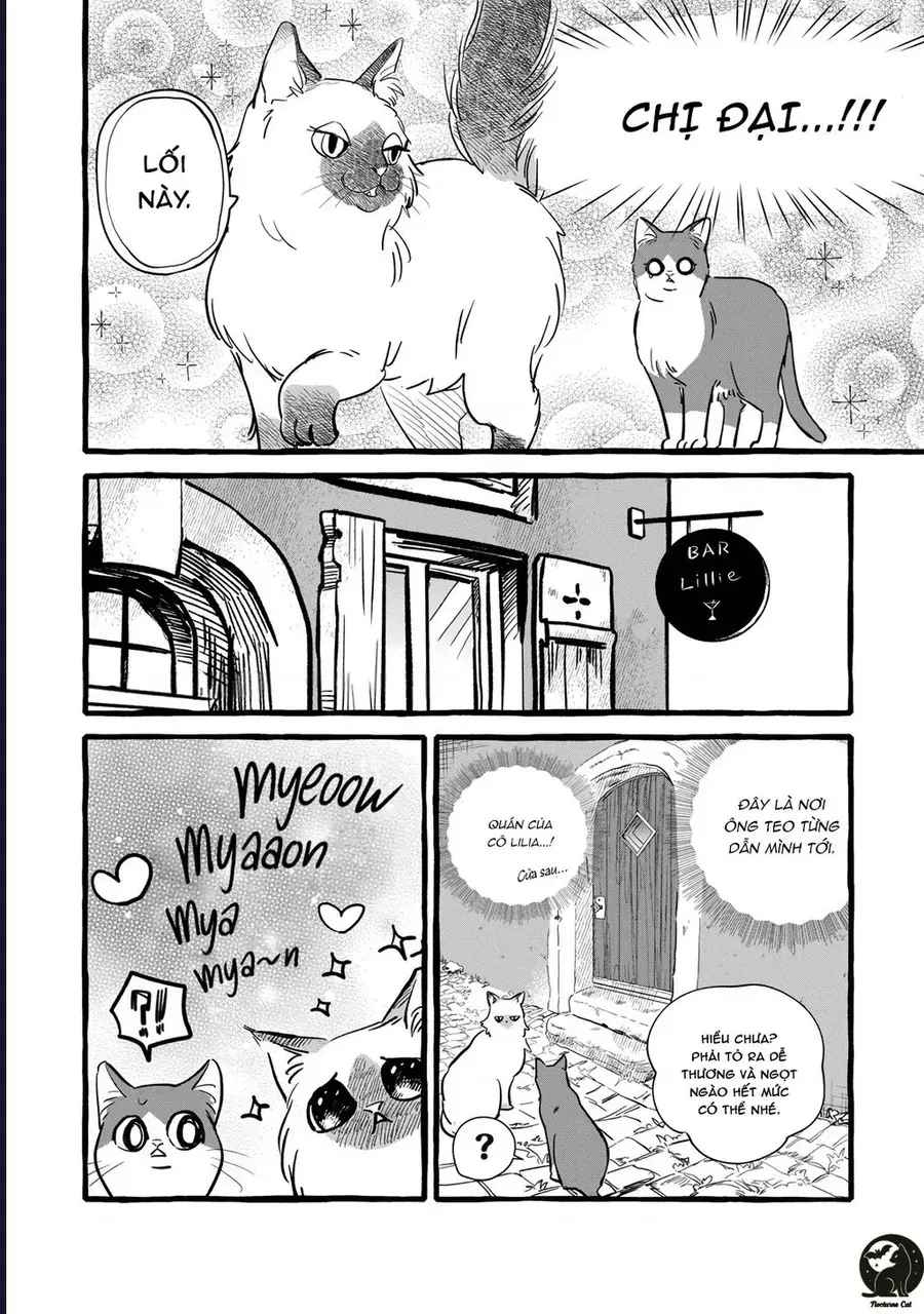 Liệu Có Thể Tìm Được Một Công Việc Lâu Dài Không? Bắt Đầu Cuộc Sống Mới Với Một Vị Pháp Sư Ít Nói Và Khó Gần~ Chapter 10 - 28