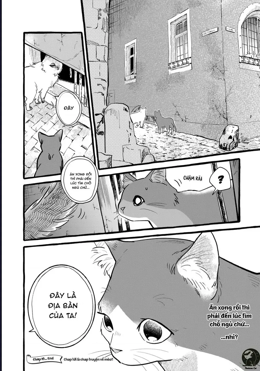 Liệu Có Thể Tìm Được Một Công Việc Lâu Dài Không? Bắt Đầu Cuộc Sống Mới Với Một Vị Pháp Sư Ít Nói Và Khó Gần~ Chapter 10 - 32