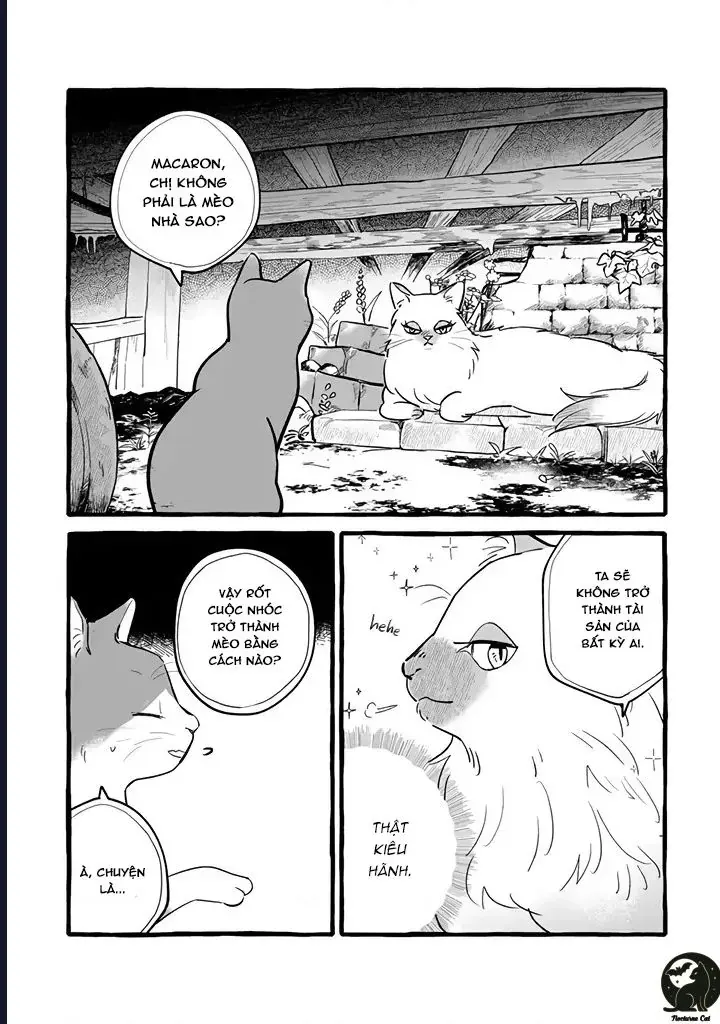 Liệu Có Thể Tìm Được Một Công Việc Lâu Dài Không? Bắt Đầu Cuộc Sống Mới Với Một Vị Pháp Sư Ít Nói Và Khó Gần~ Chapter 11 - 2