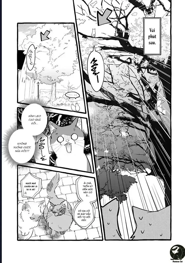 Liệu Có Thể Tìm Được Một Công Việc Lâu Dài Không? Bắt Đầu Cuộc Sống Mới Với Một Vị Pháp Sư Ít Nói Và Khó Gần~ Chapter 11 - 11