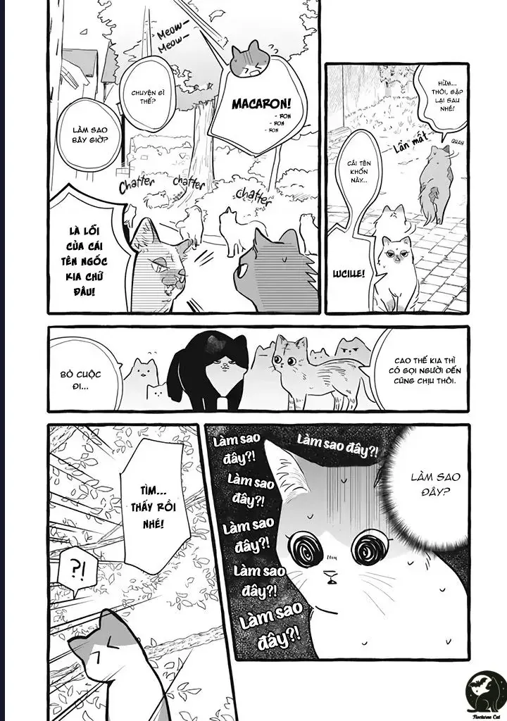 Liệu Có Thể Tìm Được Một Công Việc Lâu Dài Không? Bắt Đầu Cuộc Sống Mới Với Một Vị Pháp Sư Ít Nói Và Khó Gần~ Chapter 11 - 12