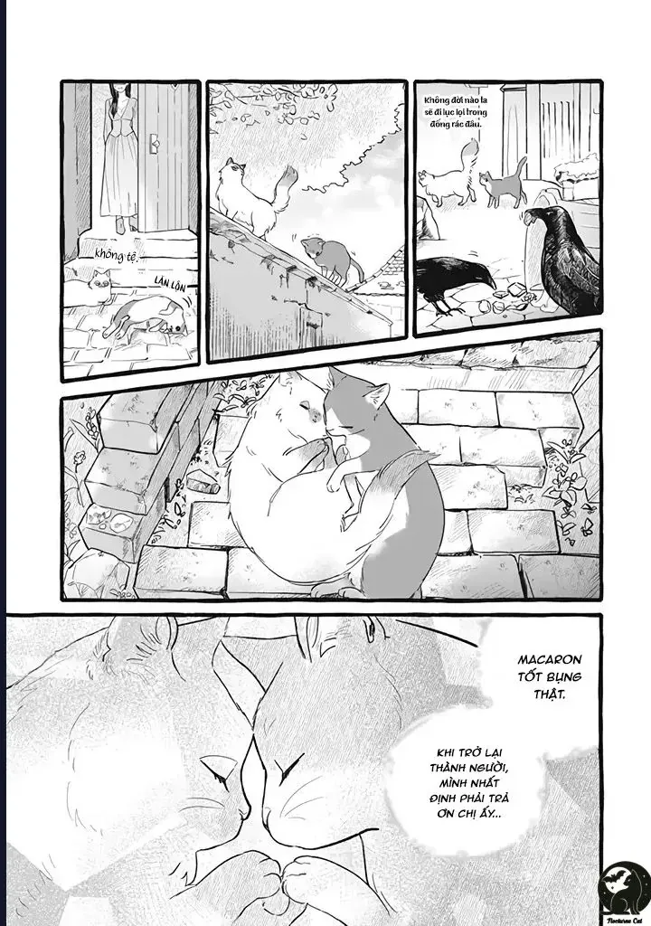 Liệu Có Thể Tìm Được Một Công Việc Lâu Dài Không? Bắt Đầu Cuộc Sống Mới Với Một Vị Pháp Sư Ít Nói Và Khó Gần~ Chapter 11 - 7