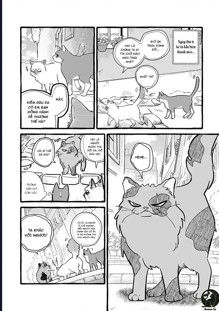 Liệu Có Thể Tìm Được Một Công Việc Lâu Dài Không? Bắt Đầu Cuộc Sống Mới Với Một Vị Pháp Sư Ít Nói Và Khó Gần~ Chapter 11 - 8