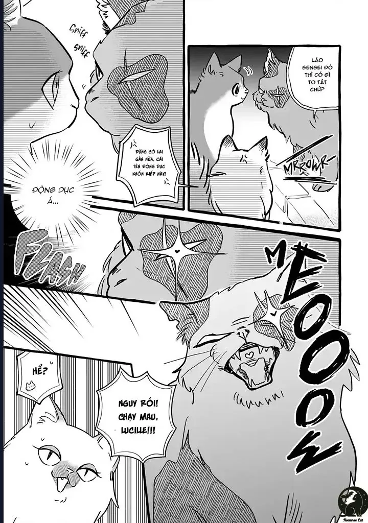 Liệu Có Thể Tìm Được Một Công Việc Lâu Dài Không? Bắt Đầu Cuộc Sống Mới Với Một Vị Pháp Sư Ít Nói Và Khó Gần~ Chapter 11 - 9