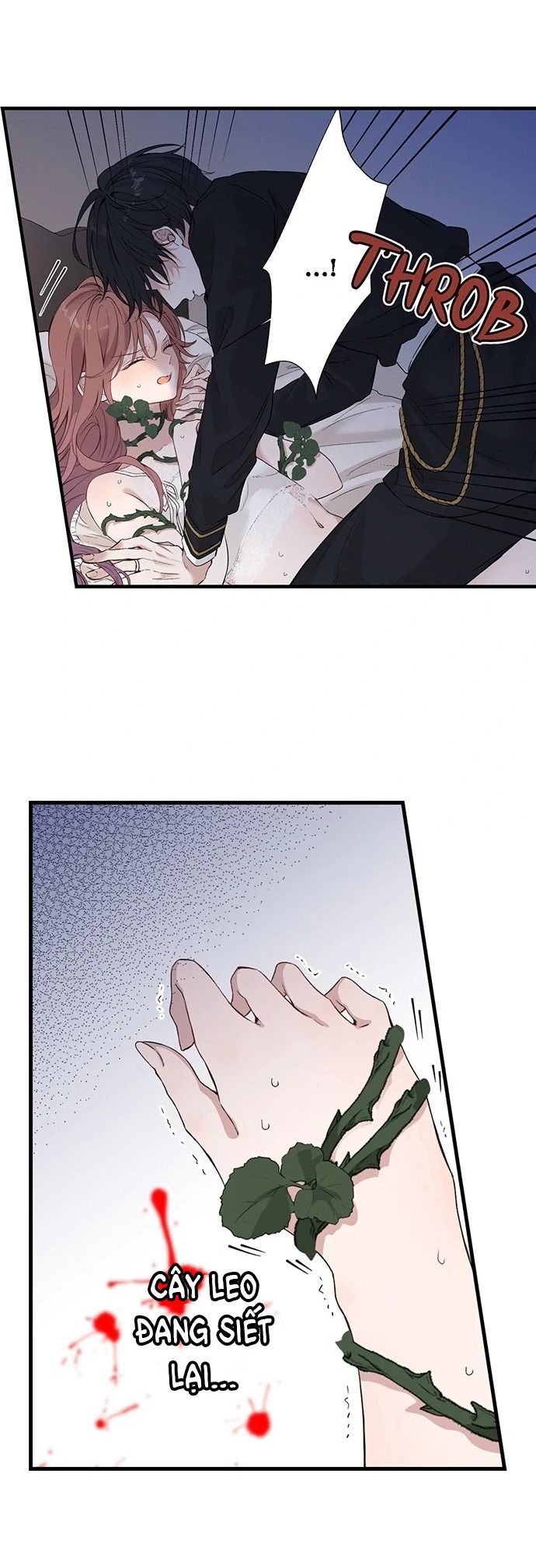 Làm Tình Trong Một Thế Giới Mà Điều Đó Là Điều Cấm Kỵ Chapter 70 - 5