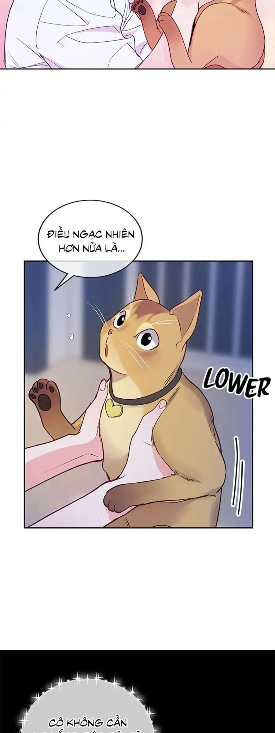 Lời Tỏ Tình Đáng Ngờ Chapter 23 - 28